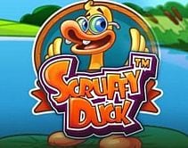 Scruffy Duck Scruffy Duck